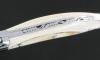 Laguiole Warthog Ivory 5